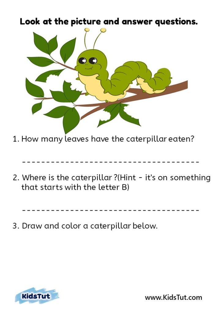 Easy Look at the picture and answer worksheets