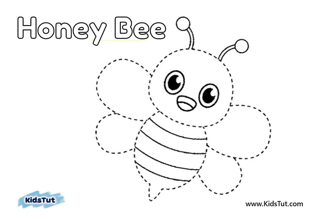 garden animals coloring pages
