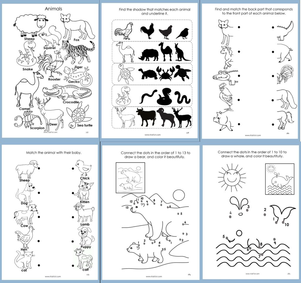 Best Kids Work Book of PDF ( 200 pages) 