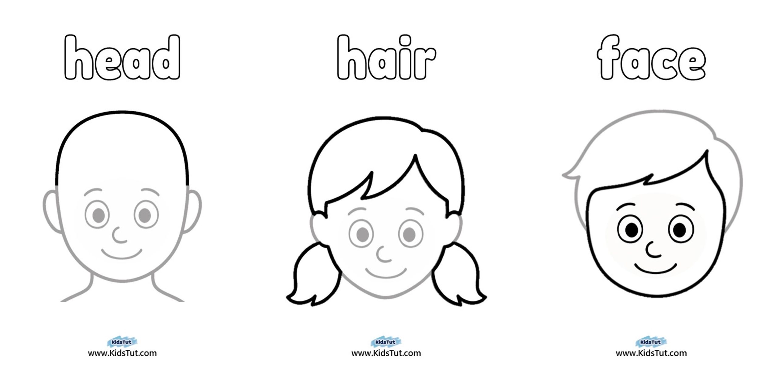 Parts of the Body Worksheet for Kindergarten