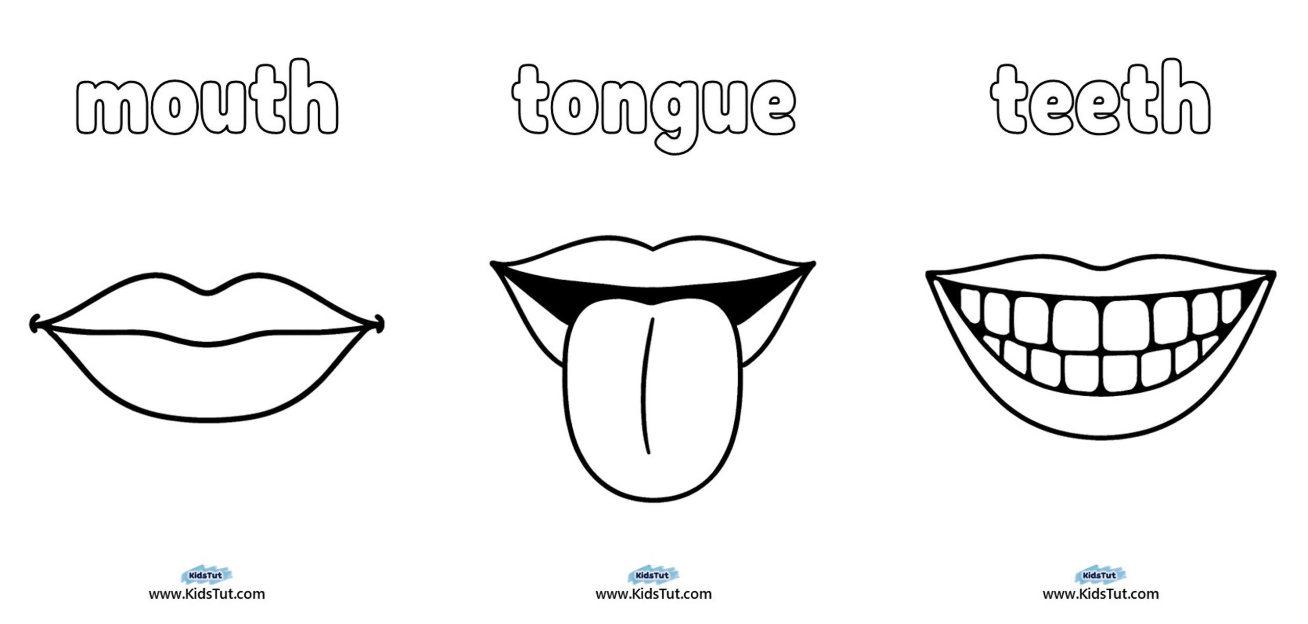 Parts of the Body Worksheet for Kindergarten