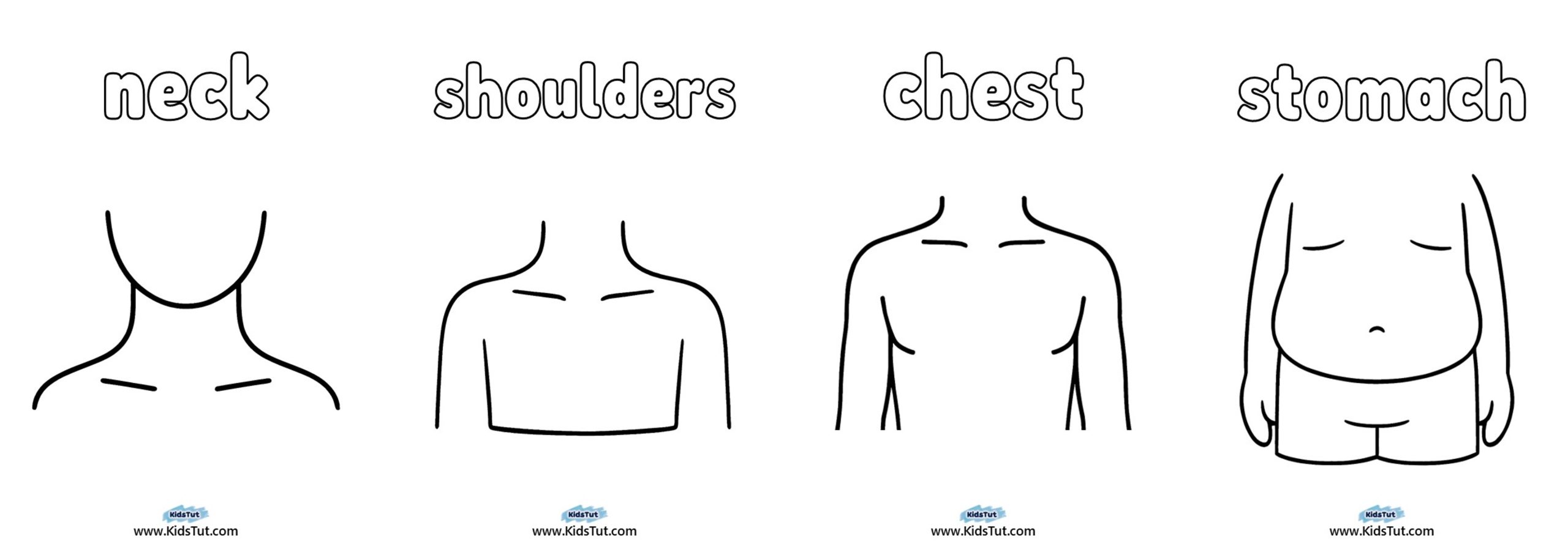 Parts of the Body Worksheet for Kindergarten