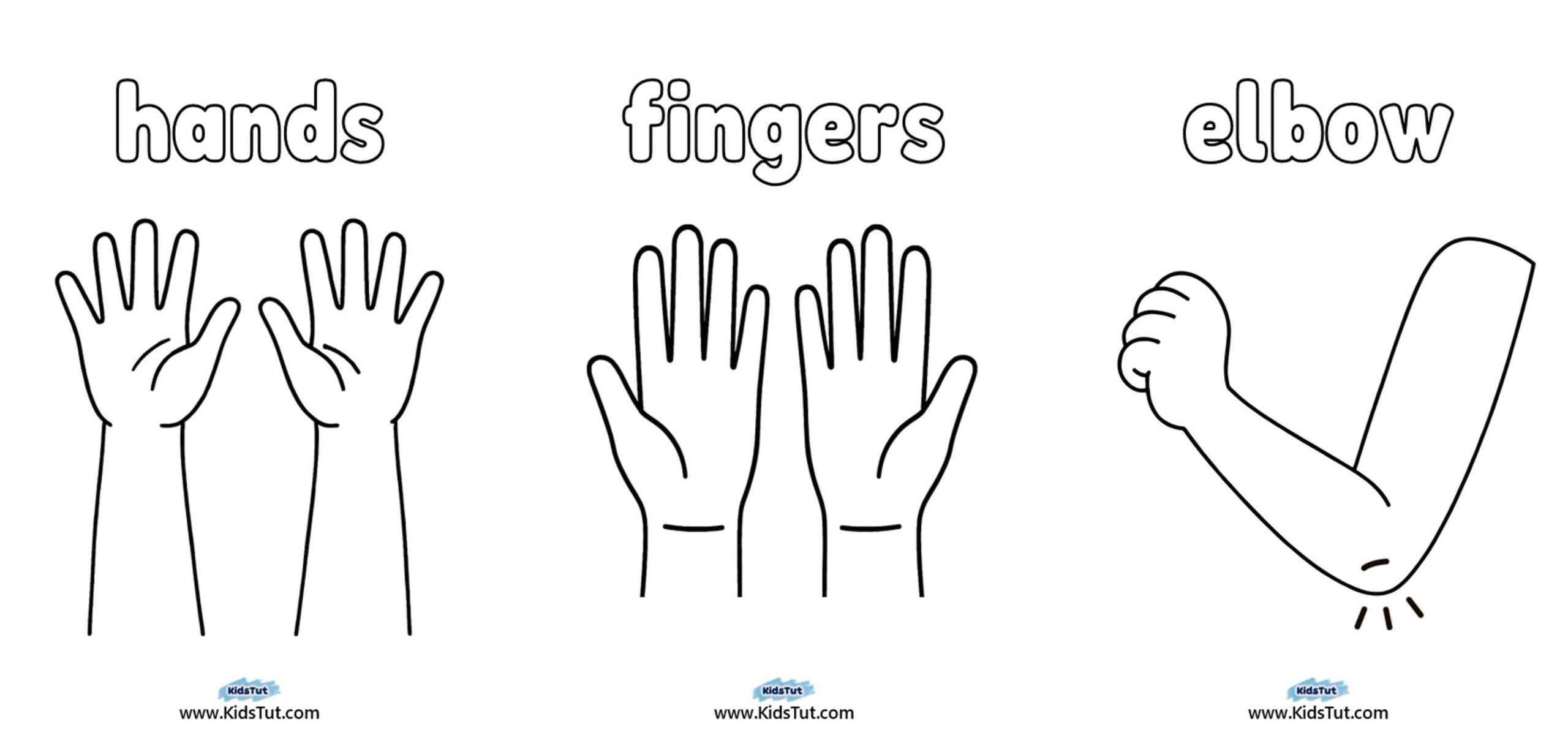 Parts of the Body Worksheet for Kindergarten
