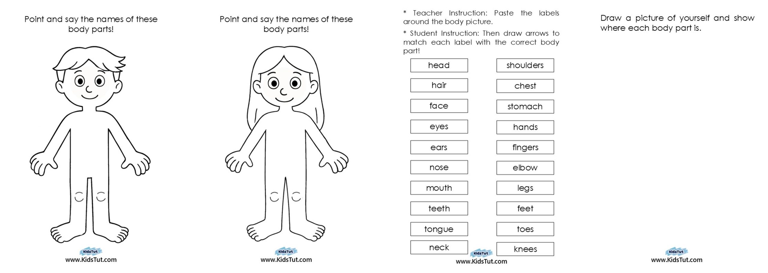 Parts of the Body Worksheet for Kindergarten
