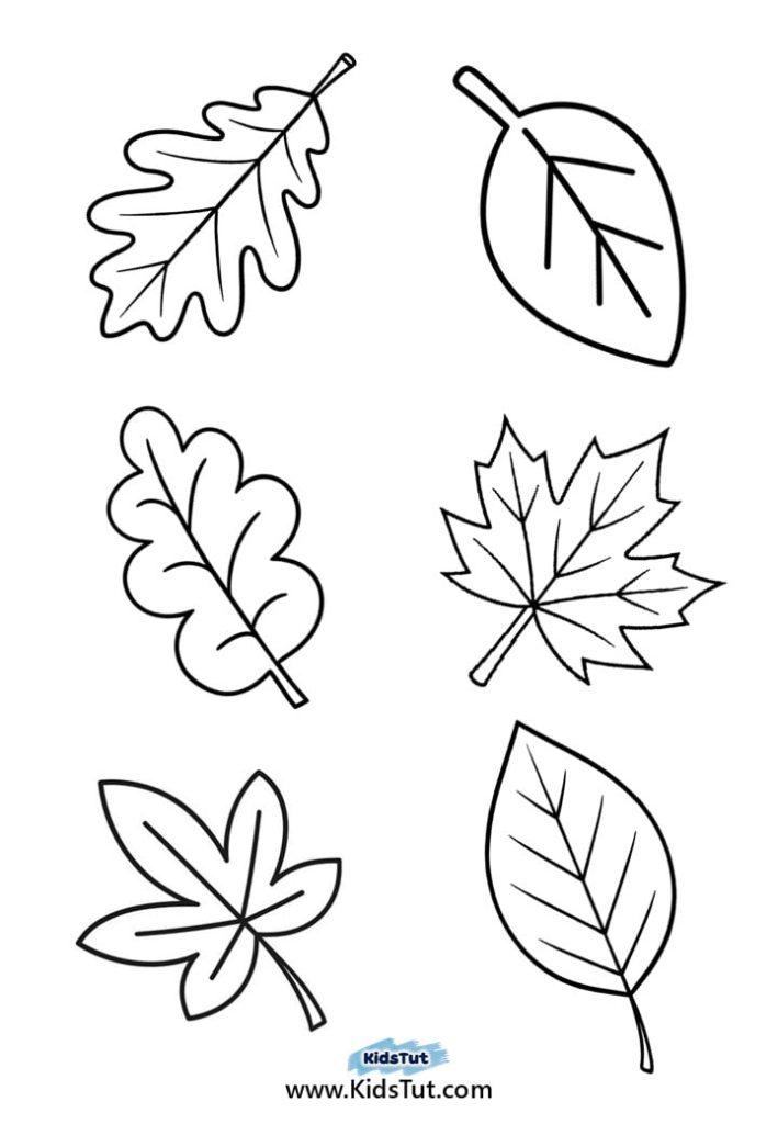 Easy Autumn Crafts for Kids with Free Templates